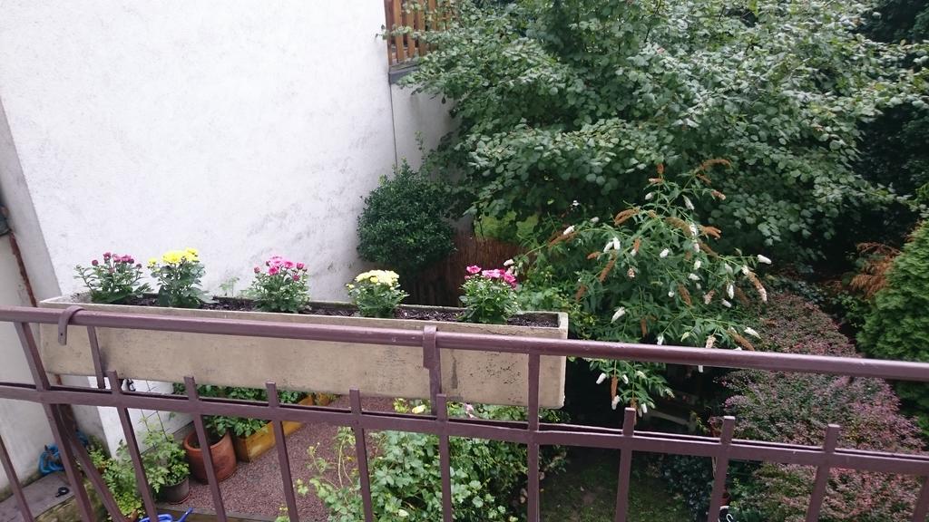 Avi City Apartments Goodhouse Düsseldorf Zewnętrze zdjęcie